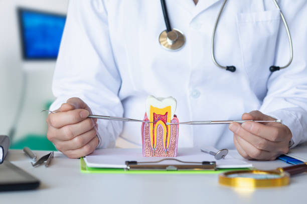 Best Emergency Orthodontic Repairs in Nokomis, IL